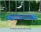 12 Springs Trampoline Rekrea Bouncer 431x255 Blauw